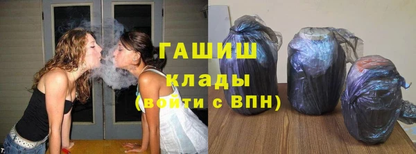 гидра Богданович