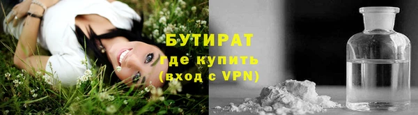 гидра Богданович