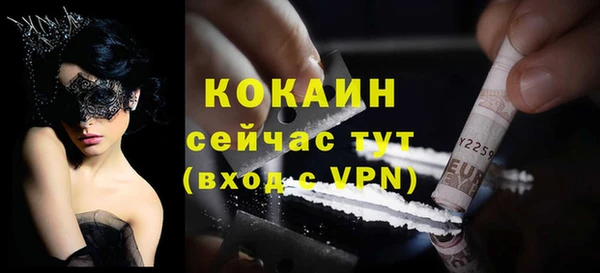 гидра Богданович