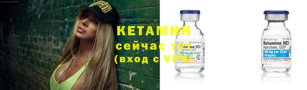 шишки Бородино
