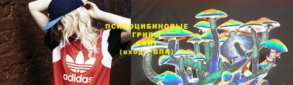 гидра Богданович